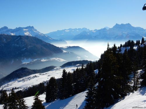 20170119-mosses-leysin-5685.jpg