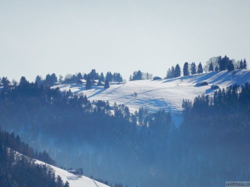 20170119-mosses-leysin-5691.jpg