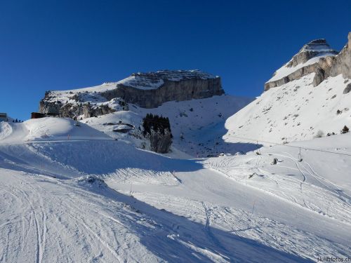 20170119-mosses-leysin-5705.jpg