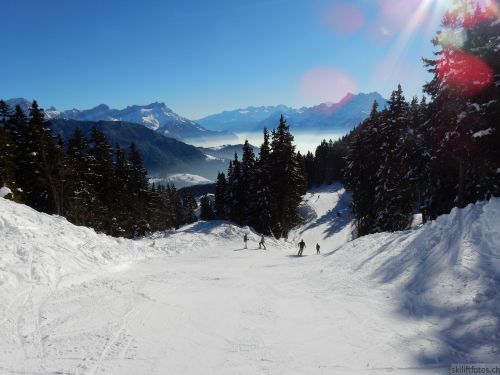 20170119-mosses-leysin-5716.jpg