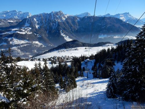 20170119-mosses-leysin-5717.jpg