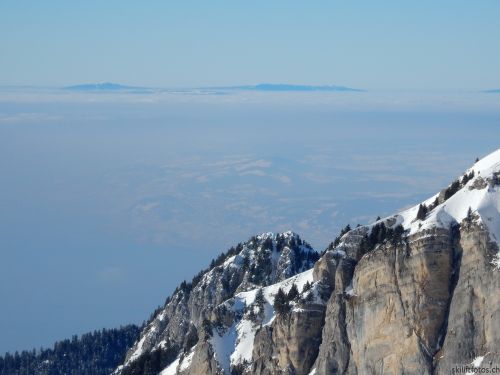 20170119-mosses-leysin-5783.jpg