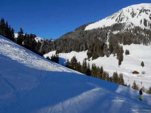 20170119-mosses-leysin-5818.jpg
