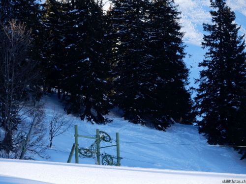 20170119-mosses-leysin-5842.jpg