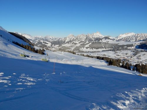 20170119-mosses-leysin-5854.jpg