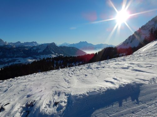 20170119-mosses-leysin-5857.jpg