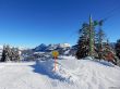 20170119-mosses-leysin-5381.jpg