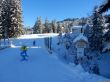 20170119-mosses-leysin-5420.jpg