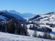 20170119-mosses-leysin-5439.jpg