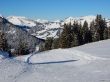 20170119-mosses-leysin-5445.jpg