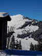 20170119-mosses-leysin-5447.jpg