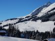 20170119-mosses-leysin-5472.jpg
