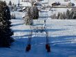20170119-mosses-leysin-5482.jpg