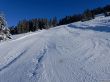 20170119-mosses-leysin-5496.jpg