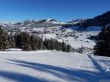 20170119-mosses-leysin-5522.jpg