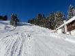 20170119-mosses-leysin-5566.jpg