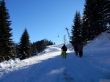 20170119-mosses-leysin-5574.jpg