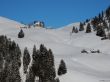 20170119-mosses-leysin-5595.jpg
