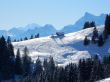 20170119-mosses-leysin-5597.jpg