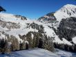 20170119-mosses-leysin-5602.jpg