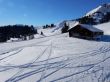 20170119-mosses-leysin-5603.jpg
