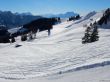 20170119-mosses-leysin-5609.jpg