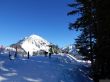 20170119-mosses-leysin-5611.jpg