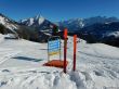 20170119-mosses-leysin-5614.jpg