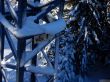 20170119-mosses-leysin-5624.jpg