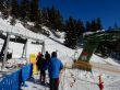 20170119-mosses-leysin-5666.jpg