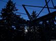 20170119-mosses-leysin-5677.jpg