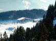 20170119-mosses-leysin-5686.jpg