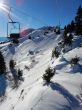 20170119-mosses-leysin-5688.jpg