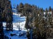 20170119-mosses-leysin-5726.jpg