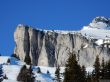 20170119-mosses-leysin-5739.jpg