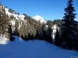 20170119-mosses-leysin-5797.jpg