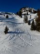 20170119-mosses-leysin-5802.jpg