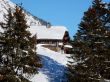 20170119-mosses-leysin-5805.jpg
