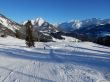 20170119-mosses-leysin-5814.jpg