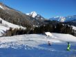20170119-mosses-leysin-5817.jpg