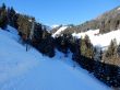 20170119-mosses-leysin-5819.jpg