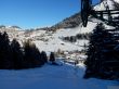 20170119-mosses-leysin-5832.jpg