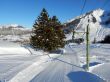 20170119-mosses-leysin-5845.jpg