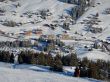 20170119-mosses-leysin-5865.jpg