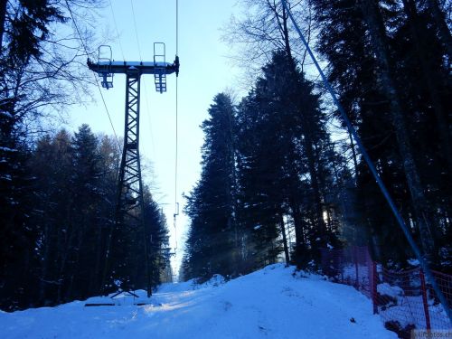24. Januar 2017
