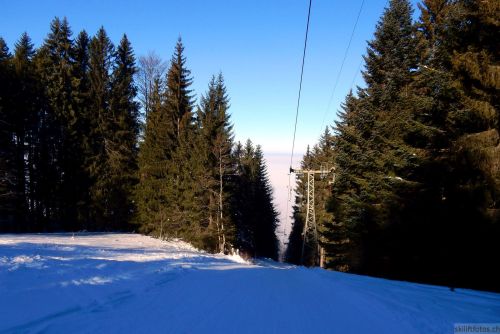 24. Januar 2017

