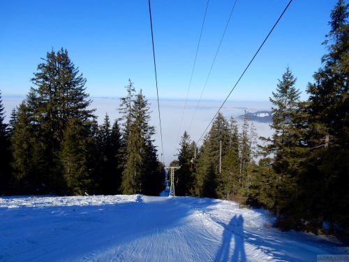 24. Januar 2017

