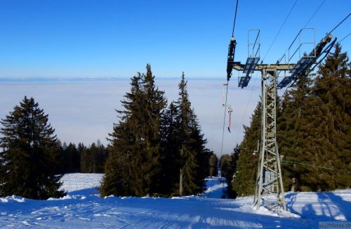 24. Januar 2017
