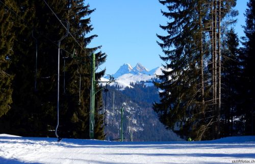 24. Januar 2017
