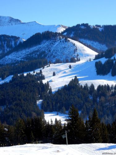 24. Januar 2017
